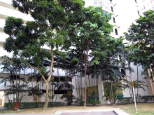 rivervale-walk photo thumbnail #9